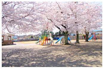 府中幼稚園、春の園庭